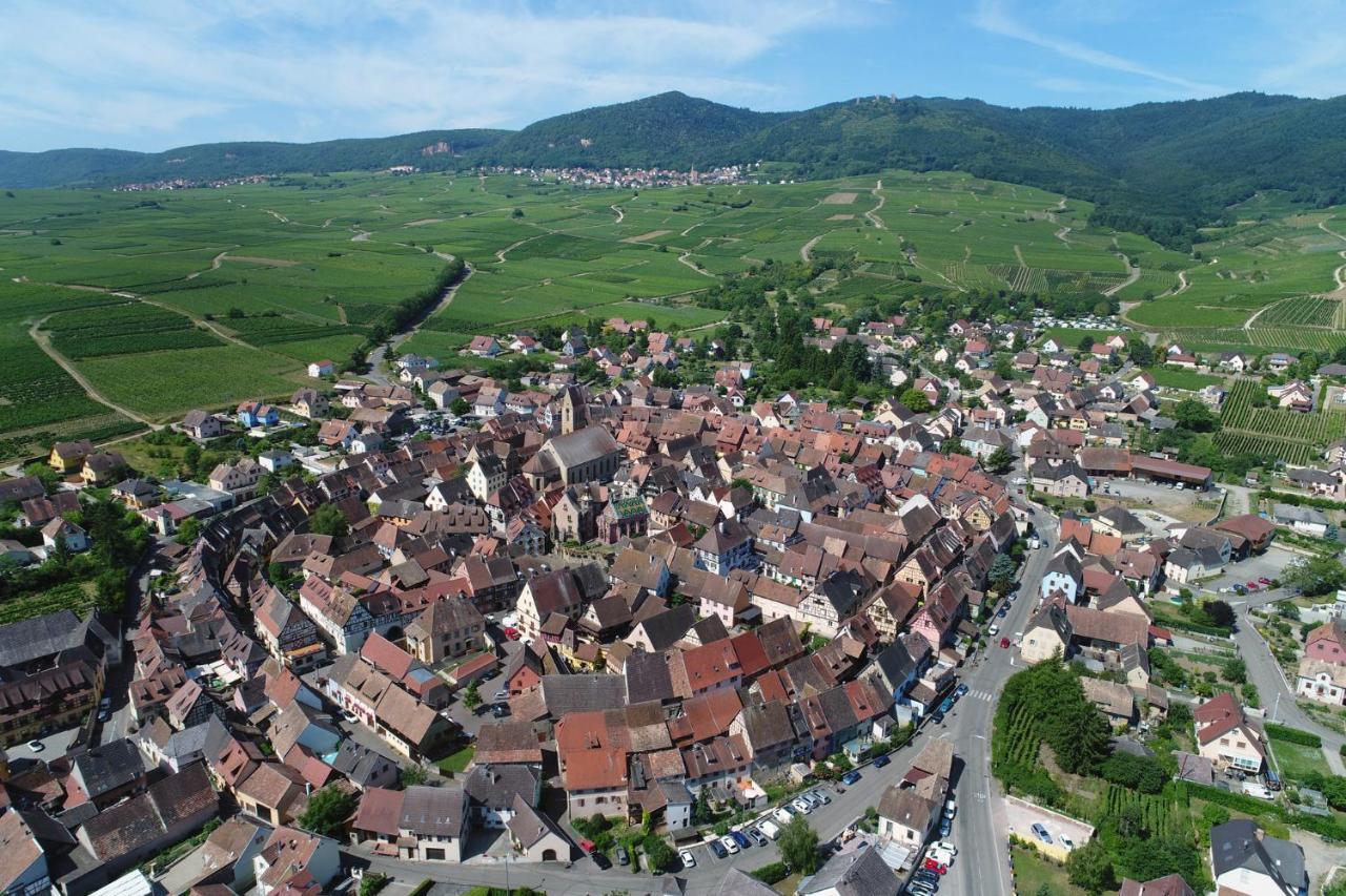 Gites Au Chateau Fleuri Эгишем Номер фото